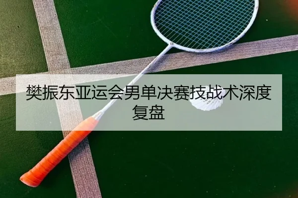 樊振东亚运会男单决赛技战术深度复盘